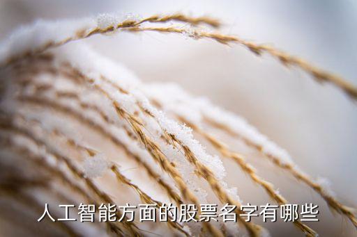 a股人工智能有哪些股票，人工智能方面的股票名字有哪些