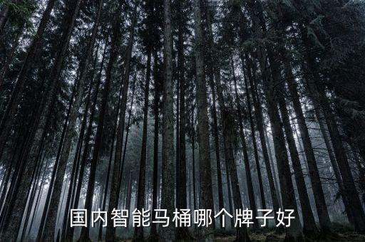 國內(nèi)智能馬桶哪個牌子好