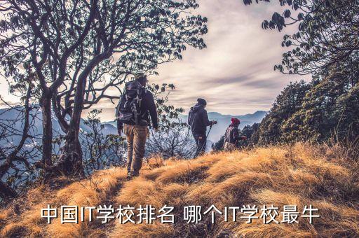 中國(guó)IT學(xué)校排名 哪個(gè)IT學(xué)校最牛