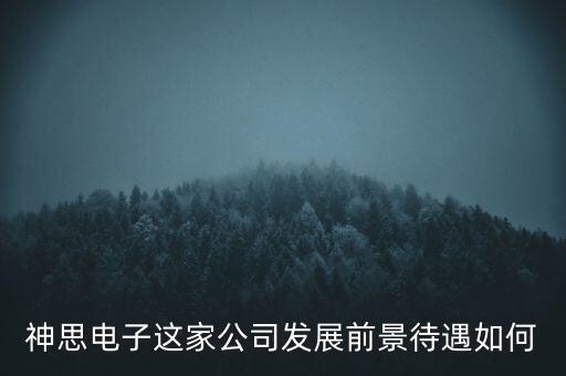 神思電子這家公司發(fā)展前景待遇如何
