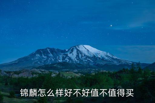 錦鱗智能科技怎么樣，山東錦霖智能科技有限公司怎么樣