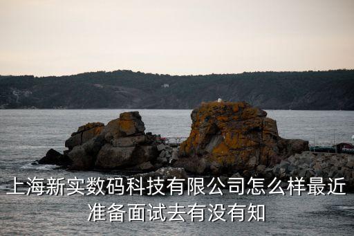 上海諾實(shí)智能科技怎么樣，劭實(shí)檢測(cè)科技上海有限公司怎么樣