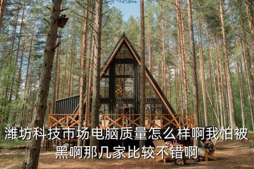 濰坊科技市場(chǎng)電腦質(zhì)量怎么樣啊我怕被黑啊那幾家比較不錯(cuò)啊