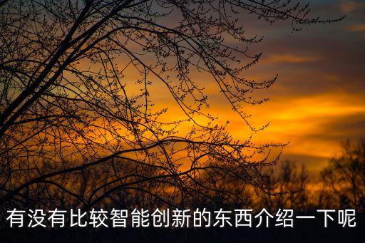 有沒有比較智能創(chuàng)新的東西介紹一下呢