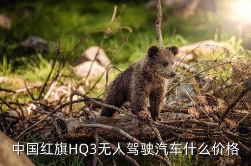 中國紅旗HQ3無人駕駛汽車什么價格