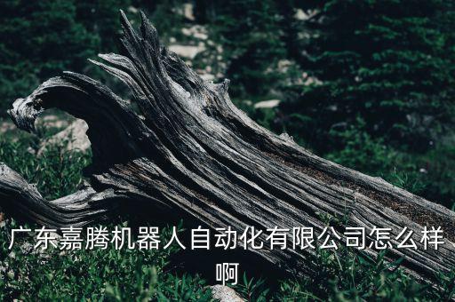 廣東嘉騰機(jī)器人自動(dòng)化有限公司怎么樣啊