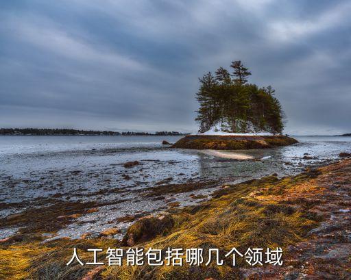 人工智能包括哪幾個領(lǐng)域