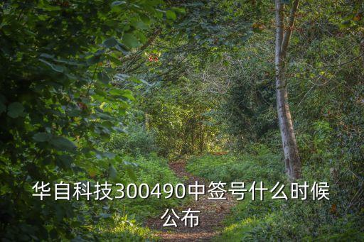 華自科技300490中簽號什么時(shí)候公布