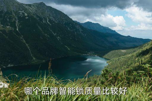 哪個(gè)品牌智能鎖質(zhì)量比較好