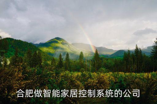 合肥小蟲智能科技做什么的，爆笑蟲子兒童機(jī)器人叫什么名字它是哪家公司出品的功能怎么樣