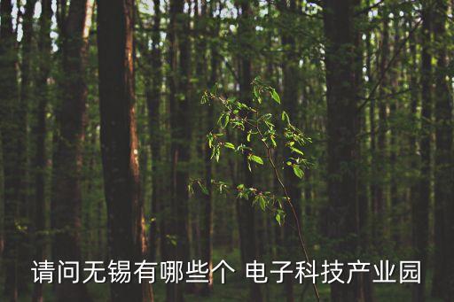 請問無錫有哪些個 電子科技產(chǎn)業(yè)園