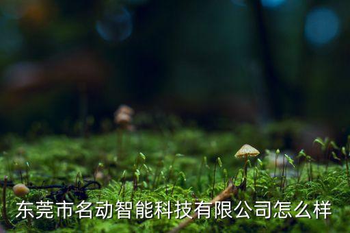 東莞市名動智能科技有限公司怎么樣
