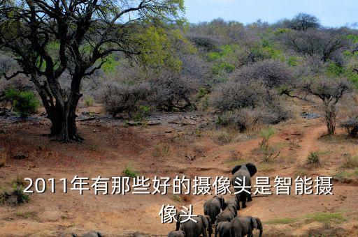 2011年有那些好的攝像頭是智能攝像頭