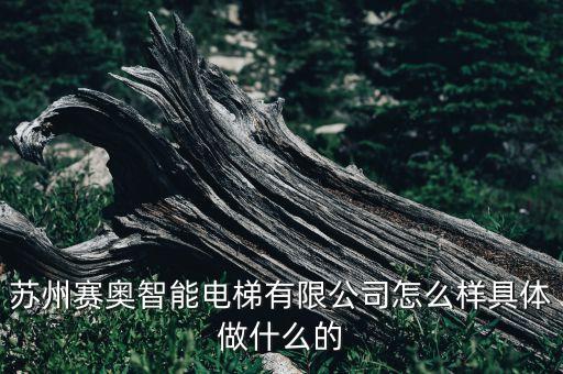 蘇州賽奧智能電梯有限公司怎么樣具體做什么的