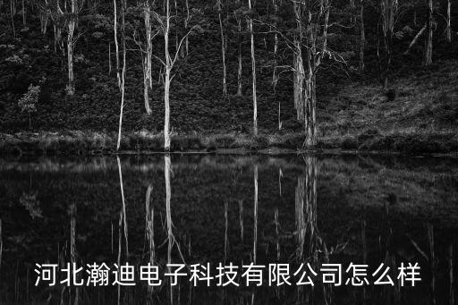 河北瀚迪電子科技有限公司怎么樣
