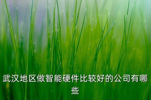武漢地區(qū)做智能硬件比較好的公司有哪些