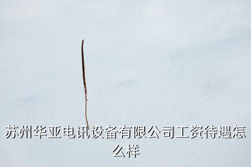 蘇州華亞電訊設(shè)備有限公司工資待遇怎么樣