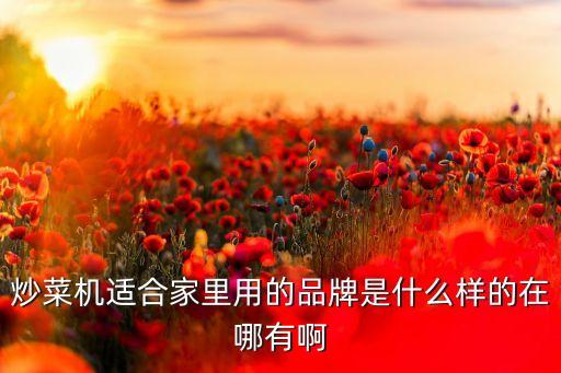 炒菜機適合家里用的品牌是什么樣的在哪有啊