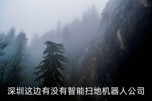 深圳飛亮智能科技怎么樣，深圳這邊有沒有智能掃地機(jī)器人公司