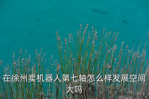 在徐州賣(mài)機(jī)器人第七軸怎么樣發(fā)展空間大嗎