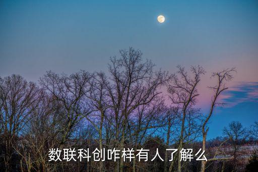 數(shù)聯(lián)科創(chuàng)咋樣有人了解么