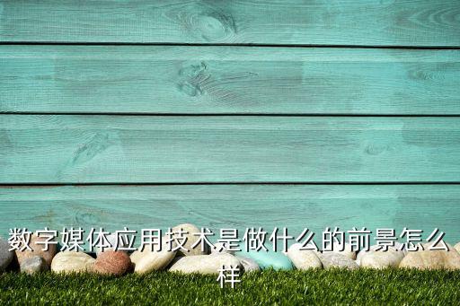 數(shù)字媒體應(yīng)用技術(shù)是做什么的前景怎么樣