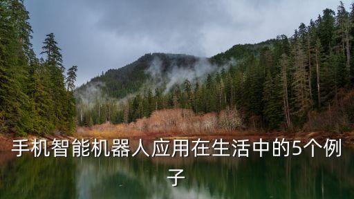 現(xiàn)實中智能科技有哪些例子，目前生活中的高科技有哪些 例如計算機