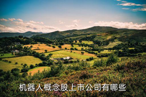 中國工業(yè)機器人龍頭公司，國內(nèi)做機器人的龍頭企業(yè)有哪些