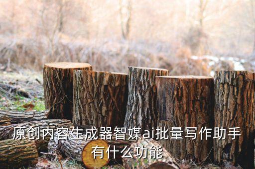 原創(chuàng)內(nèi)容生成器智媒ai批量寫作助手有什么功能
