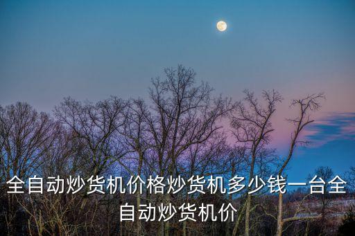 全自動(dòng)炒貨機(jī)價(jià)格炒貨機(jī)多少錢一臺(tái)全自動(dòng)炒貨機(jī)價(jià)
