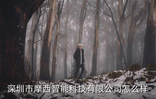 深圳市摩西智能科技有限公司怎么樣