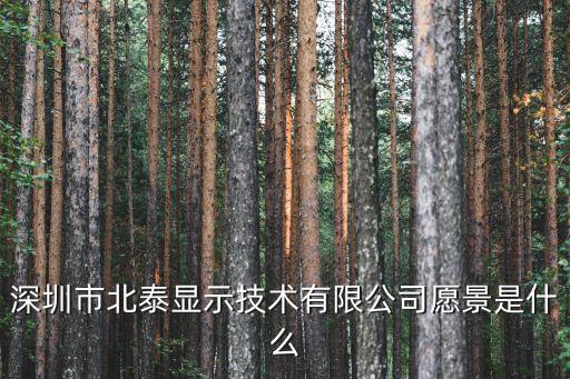 深圳市北泰顯示技術(shù)有限公司愿景是什么