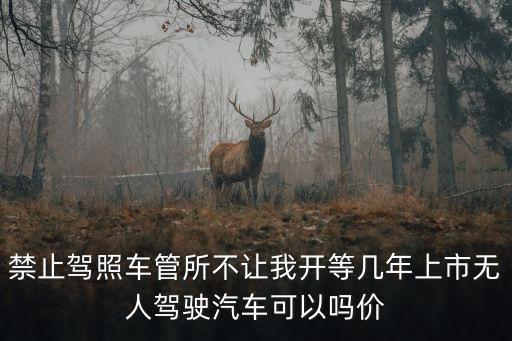 無(wú)人駕駛的智能汽車多少錢一輛，禁止駕照車管所不讓我開(kāi)等幾年上市無(wú)人駕駛汽車可以嗎價(jià)