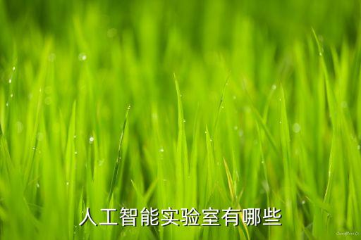 國內(nèi)十大人工智能實驗室，目前有什么專注于人工智能技術(shù)研究的公司哪