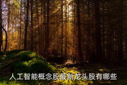 人工智能的股票龍頭股，人工智能龍頭股票有那些
