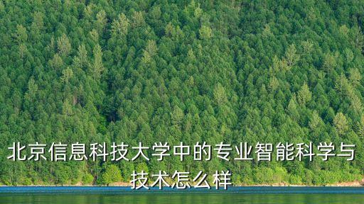 北京信息科技大學中的專業(yè)智能科學與技術怎么樣