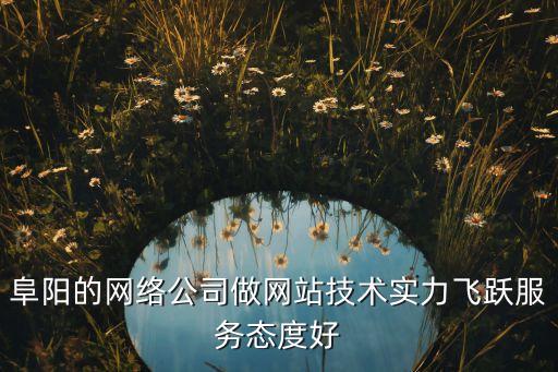 阜陽的網(wǎng)絡(luò)公司做網(wǎng)站技術(shù)實力飛躍服務(wù)態(tài)度好