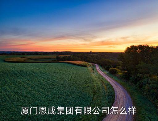廈門恩成集團有限公司怎么樣
