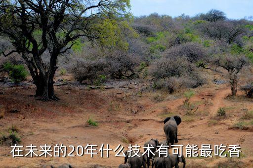 未來(lái)二十年可能實(shí)現(xiàn)的科技，20年以后有什么高科技