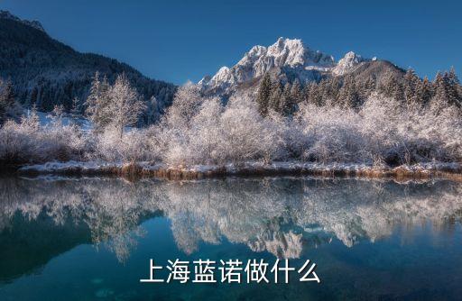 上海藍(lán)諾做什么