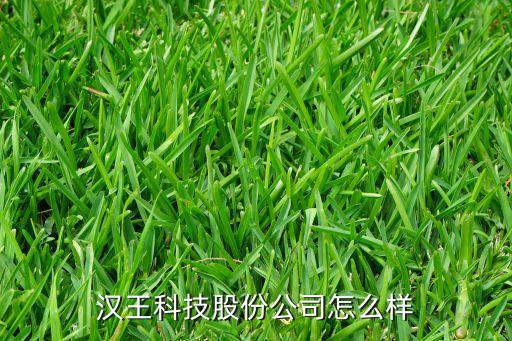 漢王科技股份公司怎么樣