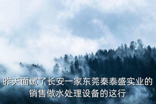 昨天面試了長安一家東莞秦泰盛實業(yè)的銷售做水處理設備的這行