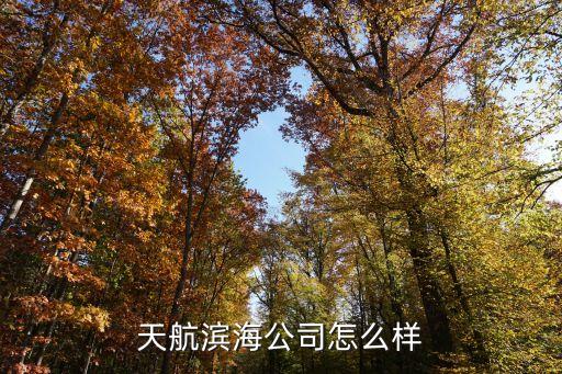 徐州天航智能科技怎么樣，天航濱海公司怎么樣