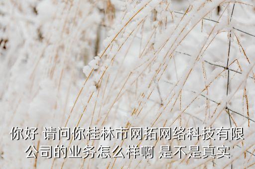 你好 請(qǐng)問你桂林市網(wǎng)拓網(wǎng)絡(luò)科技有限公司的業(yè)務(wù)怎么樣啊 是不是真實(shí)