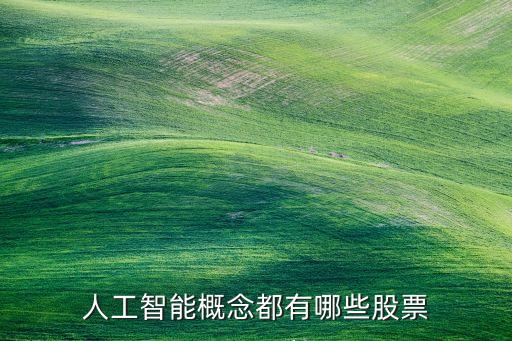 人工智能概念都有哪些股票