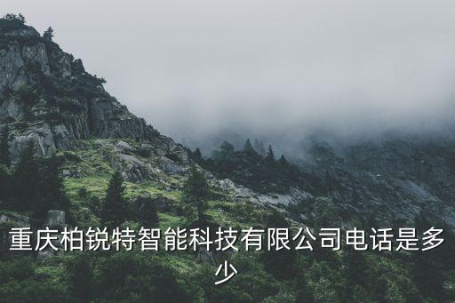柏銳智能科技點膠機怎么樣，自動點膠機國外和國內的哪家綜合好點國外售后怎么樣