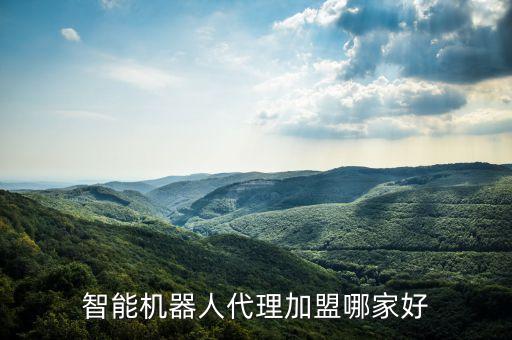 人工智能產(chǎn)品代理，IT運維代理那個產(chǎn)品好