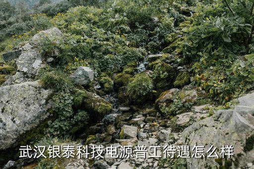 武漢銀泰科技電源普工待遇怎么樣
