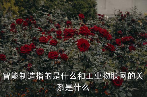 智能制造指的是什么和工業(yè)物聯(lián)網(wǎng)的關(guān)系是什么