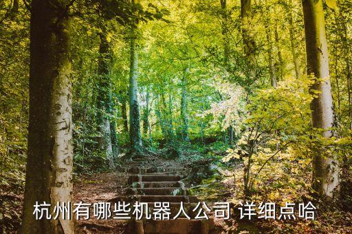 杭州有哪些機(jī)器人公司 詳細(xì)點(diǎn)哈